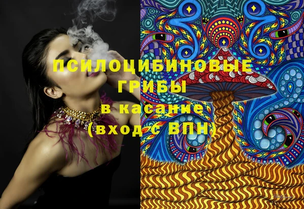 PSILOCYBIN Бронницы